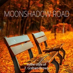 Cover art for Moonshadow Road - T. Graham Brown karaoke version