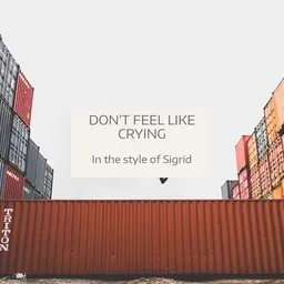 Omslagsbild för Don't Feel Like Crying - Sigrid karaokeversion