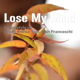 Omslagsbild för Lose My Mind - James Arthur,Josh Franceschi karaokeversion