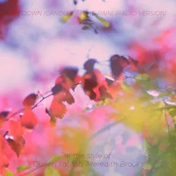 Cover art for Lay Down (Candles In The Rain) (Radio Version) - Meredith Brooks,Queen Latifah karaoke version