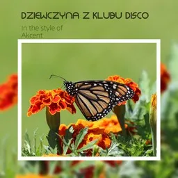 Titelbild für Dziewczyna z klubu disco - Akcent Karaoke-Version