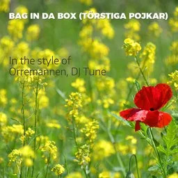Cover art for Bag in Da Box (Törstiga Pojkar) - DJ Tune,Orremannen karaoke version