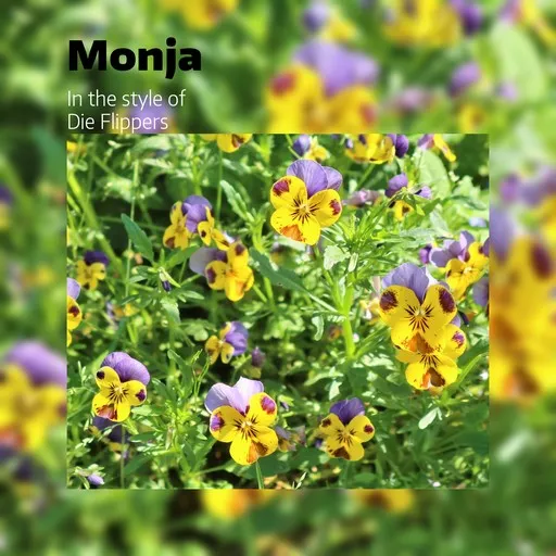 Monja - Karaoke
