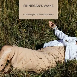 Titelbild für Finnegan's Wake - The Dubliners Karaoke-Version