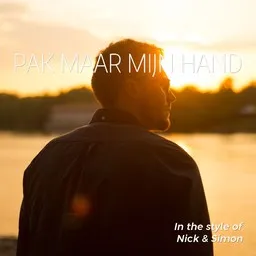 Cover art for Pak Maar Mijn Hand - Nick & Simon karaoke version