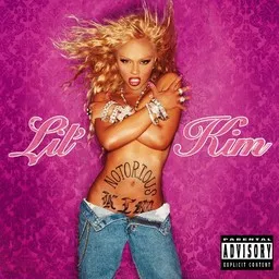 Cover art for How Many Licks? - Lil' Kim,Sisqo karaoke version