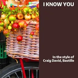 Cover art for I Know You - Bastille,Craig David karaoke version