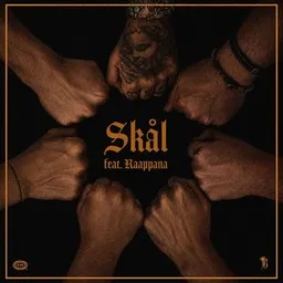 Cover art for Skål - Brädi,Raappana karaoke version