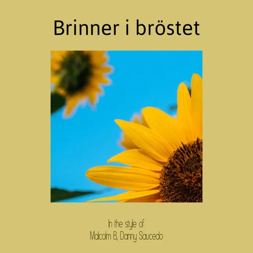 Karaoke Brinner i bröstet by Danny Saucedo, Malcolm B — sing along with lyrics on Singa
