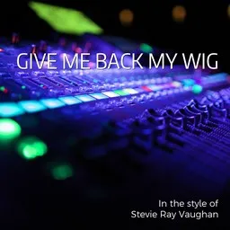 Cover art for Give Me Back My Wig - Stevie Ray Vaughan karaoke version