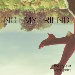Omslagsbild för Not My Friend - Norah Jones karaokeversion