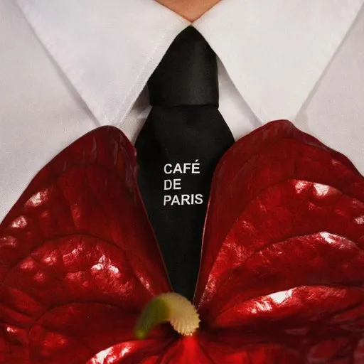 Karaoke Café de Paris by Dawid Kwiatkowski — sing along with lyrics on Singa