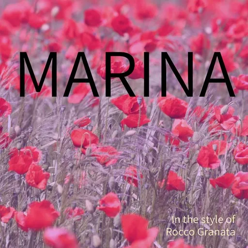 Marina - Karaoke