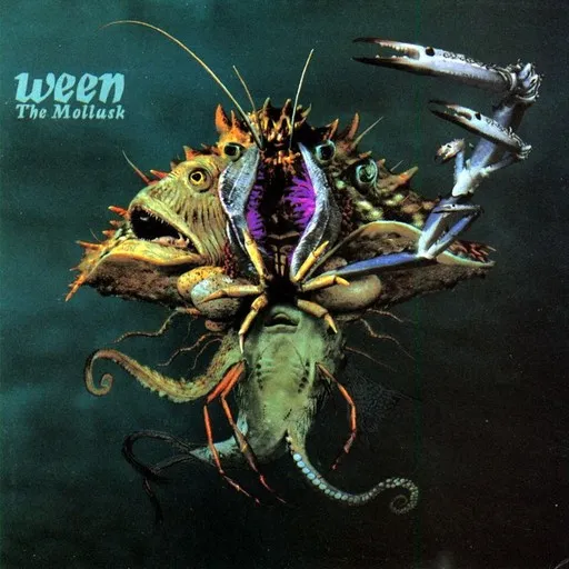 Karaoke Ocean Man by Ween — sing along with lyrics on Singa