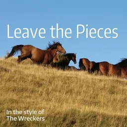 Cover art for Leave the Pieces - The Wreckers karaoke version