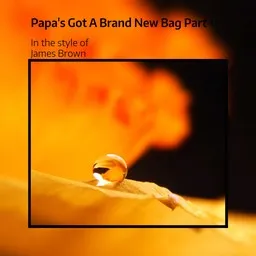 Cover art for Papa's Got A Brand New Bag Part 1 - James Brown karaoke version