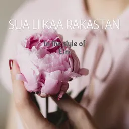 Titelbild für Sua liikaa rakastan - Eini Karaoke-Version