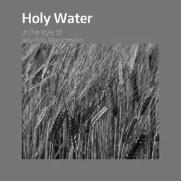 Cover art for Holy Water - Jelly Roll,Marshmello karaoke version