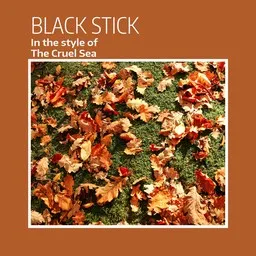Cover art for Black Stick - The Cruel Sea karaoke version