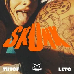 Omslagsbild för Mwen An Sa - Leto,Skunk,Tiitof karaokeversion