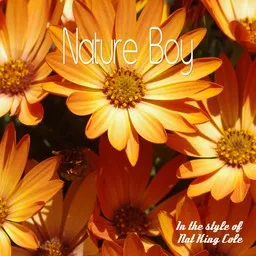 Titelbild für Nature Boy - Nat King Cole Karaoke-Version