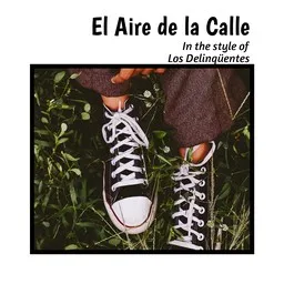 Cover art for El Aire de la Calle - Los Delinqüentes karaoke version