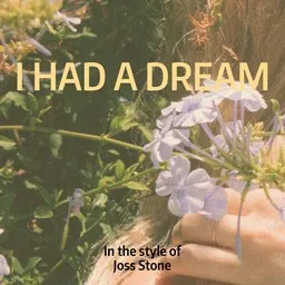 Cover art for I Had A Dream - Joss Stone karaoke version