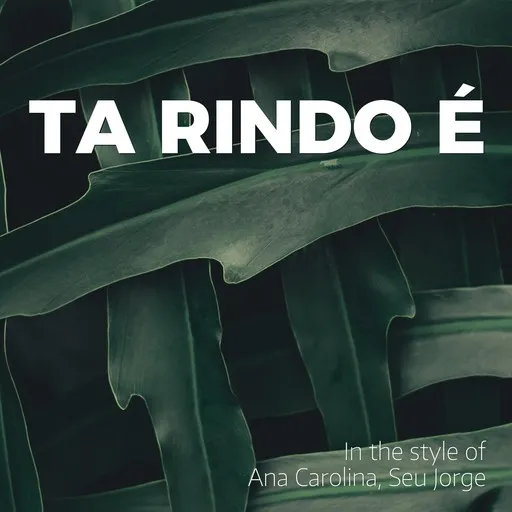 Karaoke Ta Rindo É av Ana Carolina, Seu Jorge — sjung med på texten på Singa