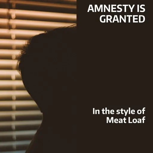 Amnesty Is Granted - Karaoke