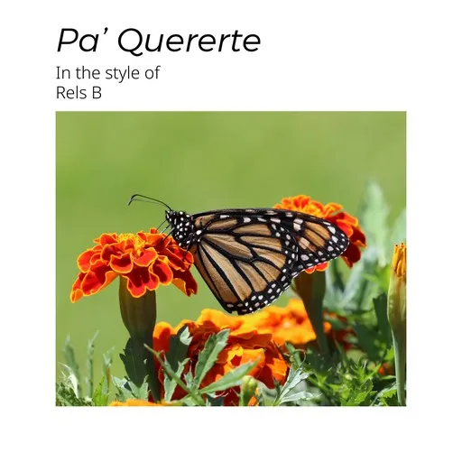 Karaoke Pa’ Quererte by Rels B — sing along with lyrics on Singa