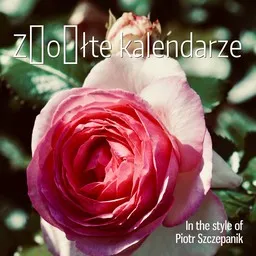 Titelbild für Żółte kalendarze - Piotr Szczepanik Karaoke-Version
