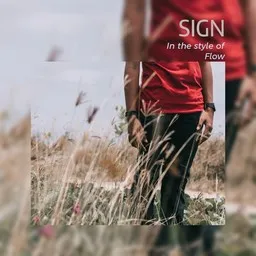 Cover art for Sign - Flow karaoke version