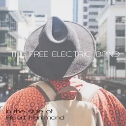 Titelbild für The Free Electric Band - Albert Hammond Karaoke-Version