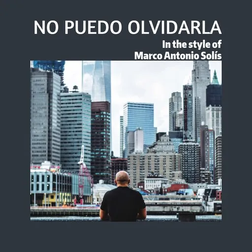 Karaoke No Puedo Olvidarla von Marco Antonio Solís — mit Songtext mitsingen auf Singa