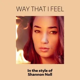 Karaokekappaleen Way That I Feel - Shannon Noll kansikuva