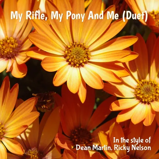 My Rifle, My Pony And Me (Duet) - Karaoke