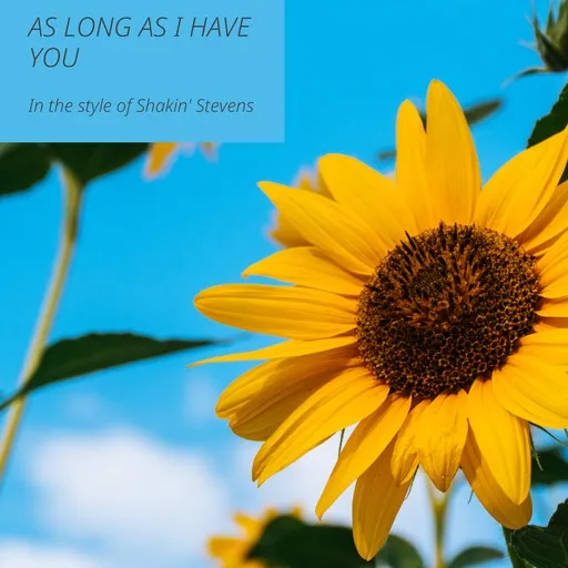 Karaoke As Long As I Have You by Shakin' Stevens — sing along with lyrics on Singa