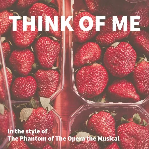 Karaoke Think of Me by The Phantom of The Opera the Musical — sing along with lyrics on Singa