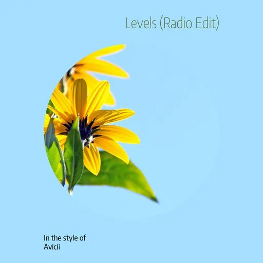 Karaoke Levels (Radio Edit) by Avicii — sing along with lyrics on Singa