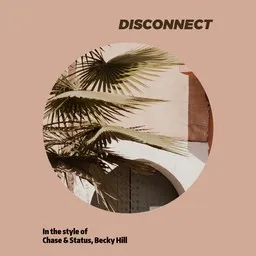 Cover art for Disconnect - Becky Hill,Chase & Status karaoke version