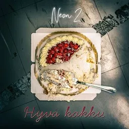 Cover art for Hyvä kakku - Neon,Neon 2 karaoke version