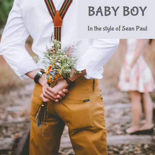 Karaoke Baby Boy von Sean Paul — mit Songtext mitsingen auf Singa