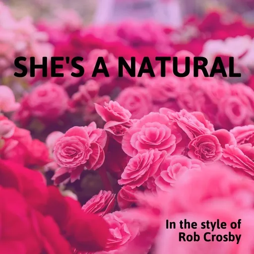 She's A Natural - Karaoke