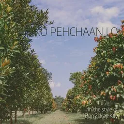 Cover art for Mujhko Pehchaan Lo - Don 2,Kay Kay karaoke version