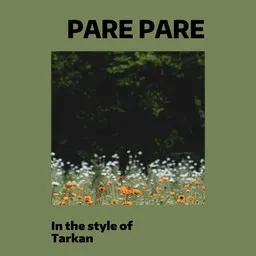 Cover art for Pare Pare - Tarkan karaoke version