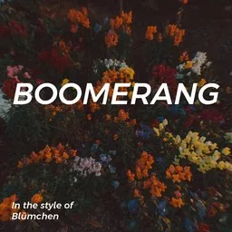 Cover art for Boomerang - Blümchen karaoke version