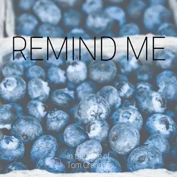 Titelbild für Remind Me - Tom Grennan Karaoke-Version