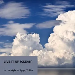 Karaokekappaleen Live It Up (clean) - Tulisa,Tyga kansikuva