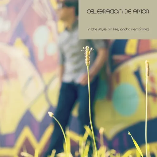 Celebracion De Amor - Karaoke