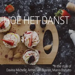 Titelbild für Hoe het danst - Armin van Buuren,Davina Michelle,Marco Borsato Karaoke-Version